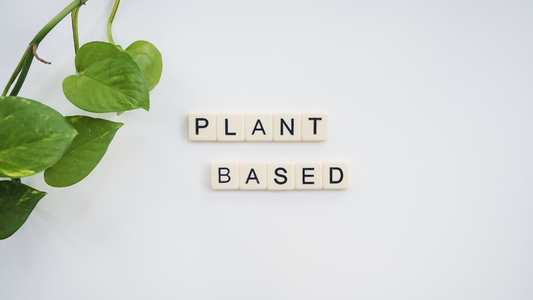 plant based image