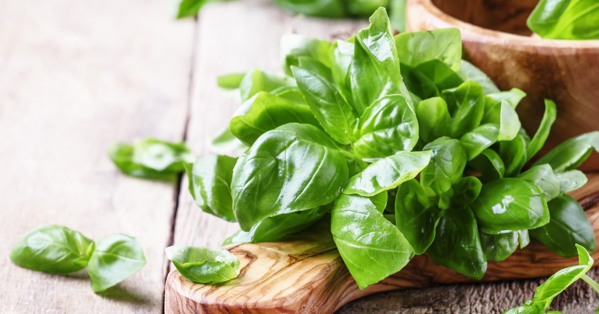 5 Uses for Fresh Basil