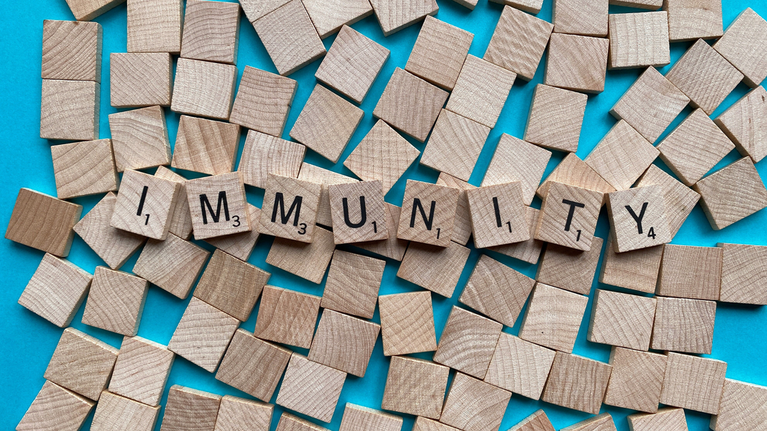6 ways to strengthen immunity whole harvest blog