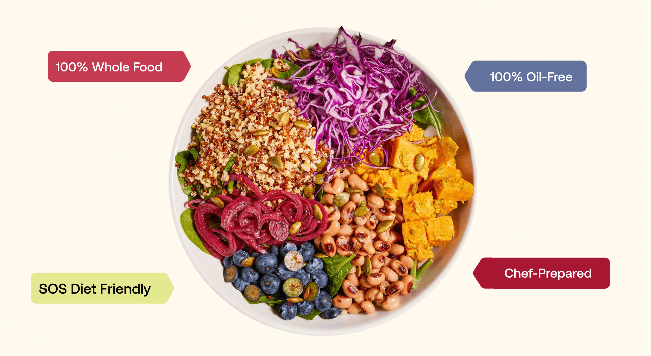 Bullet points graphic for WHole Harvest Meals